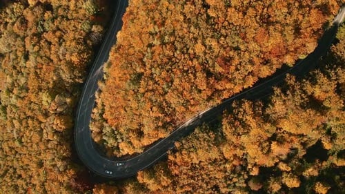 Aerial overhead follow drone footage of a car driving on a winding s-shaped road in the middle of or