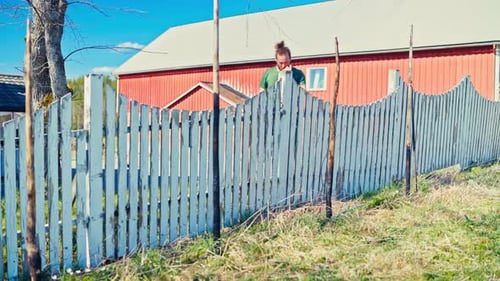 Man Climbs over White Picket Fence on Sunny Day