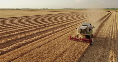 Aerial shot of a combine harvester in action on wheat field.