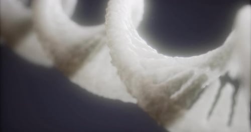 Exploring the Intricate Details of Dna Structures and Their Mysteries