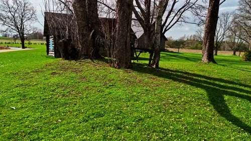 Cabin and trees shadows across village lawn