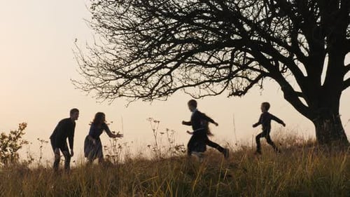 Happy Kids Rushes Into Hands of Parents Parents Hugs Their Kids in the Meadow