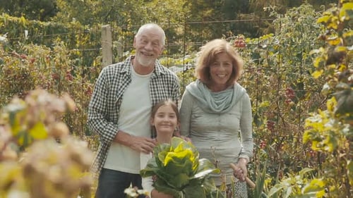 Senior Couple With Grandaughter Gardening In The Backyard Garden