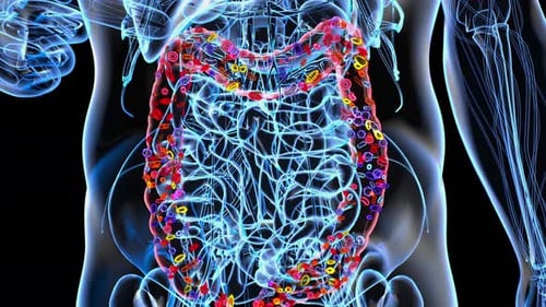4K abstract animation of the gut microbiome