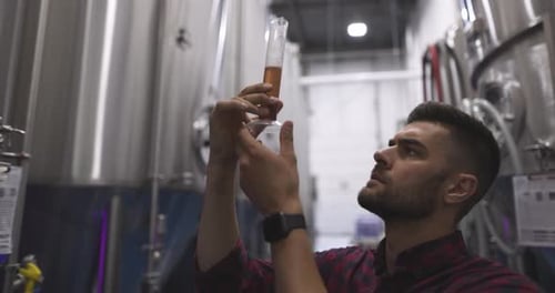 Male Brewer Inspecting Beer by Fermenting Tanks in Brewery 3539 Years