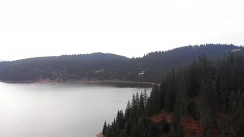 Aerial Footage of Large Lake and mountains surrounded by Pine Forest