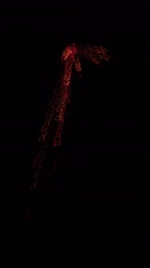 Fluid Particle Energy Burst Logo Reveal