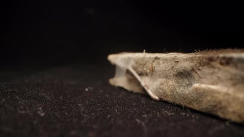 Dusty, Worn Clothespin in Macro Close-Up