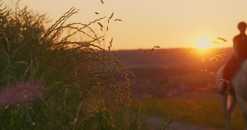 Woman Riding Horse in Rural Field at Sunset