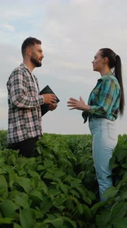 Agronomist Farmers Shaking Hands in Green Field