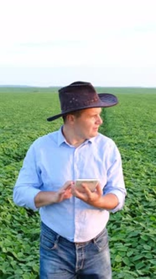 Farmer Using Smartphone While Working in Lush Green Field for Agricultural Purposes