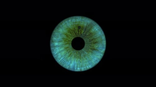 Close up view of the pupil of a blue eye, rotate clockwise
