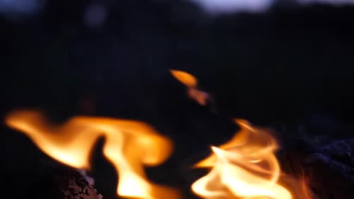 Close Up Fire Flame, Slow Motion