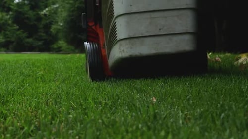 Man Mowing the Lawn with Lawn Mower in Summer