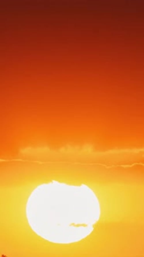 Un grand soleil dans une beauté éclatante