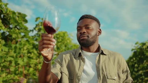 Savoring the Experience of Enjoying Wine in a Beautiful Vineyard A Moment of Deep Reflection