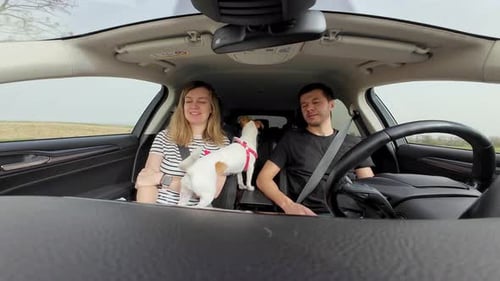 Family Road Trip With Active Dog