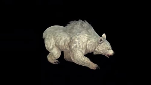 Wild White Bear Walk Idle