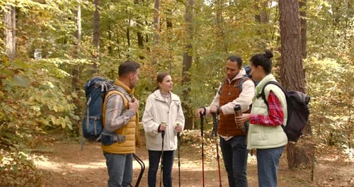 Group of Friends Hiking Together in Autumn Forest