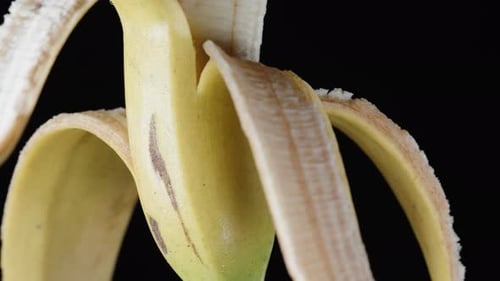 a half-peeled banana slowly rotates on a black background. Close-up.