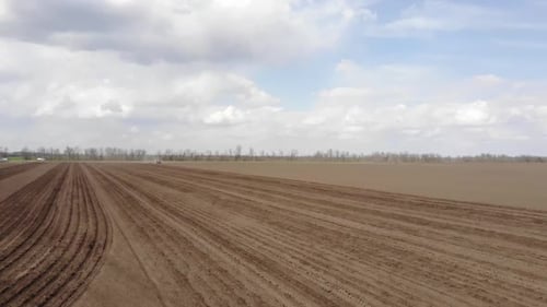 Blue tractror planting sunflower with yellow planter on the cultivated field in Ukraine