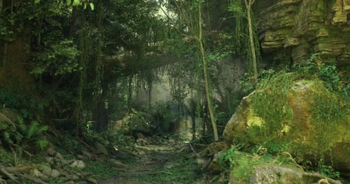 Mysterious Green Forest Pathway Illuminated By Soft Light in the Morning
