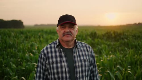 Senior Farm Worker Looking At Camera And Smiling Professional Agronomist Or Farmer In Field