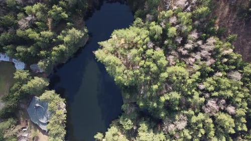 Lake surrounded by trees. Beautiful landscape in aerial drone shot.