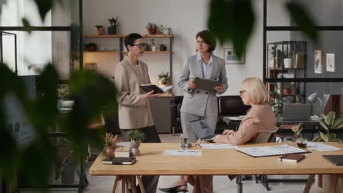 Three Middle-Aged Women Having Professional Business Meeting in Office