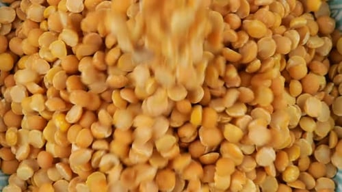 Dried peas are poured into a blue ceramic bowl. Top view. Slow motion.