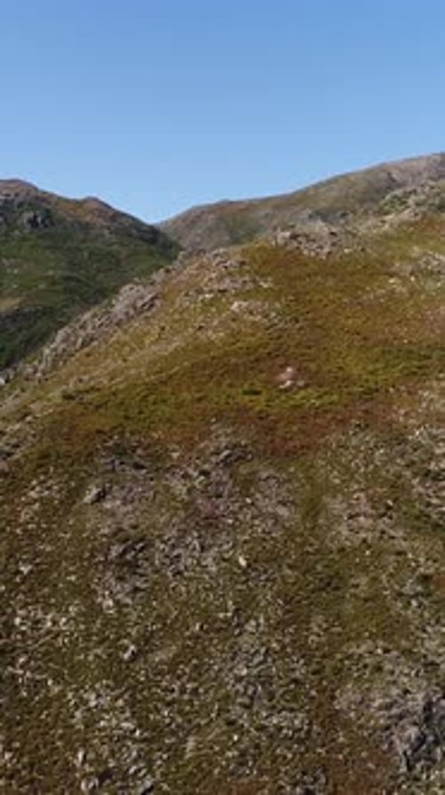 Vertical Video of Mountain