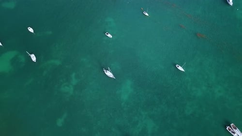 Sailboats Anchored Off Island Shore Aerial