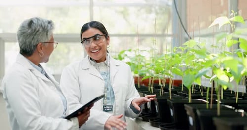 Scientists Examining Plants in Greenhouse Laboratory