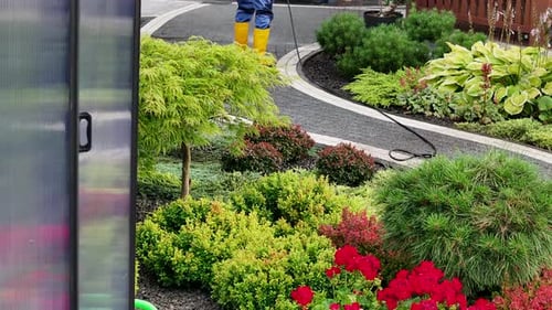 Path Cleaning in Beautiful Urban Garden