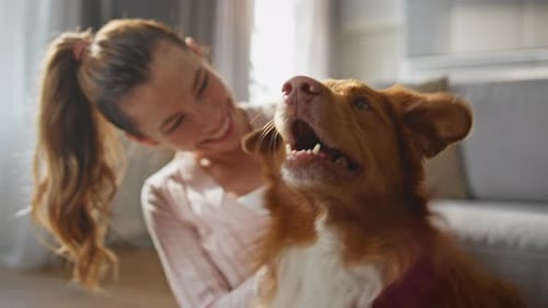 Girl Scratching Lovely Dog Behind Ears Sitting Home Floor Together Close Up