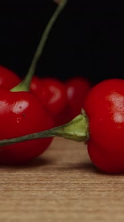 Vertical video. Micro red chili peppers of The Star of Turkey variety fall onto the table. slow