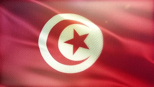 Waving Tunisia Flag with Subtle Light Flares and Fabric Texture