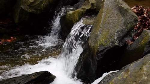 Kleine Wasserfälle, die über Steine in einen Bach fließen