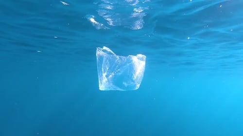 Floating Plastic Bag Polluting Ocean Waters