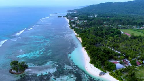 Coral Reef at Anse Source D Argent Beach La Digue Island Seychelles