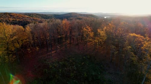 Drone Aerial Rising Out of Forest to Reveal Vibrant Fall Colours a Lake and the Gatineau Hills