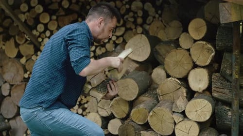 A Man Piles Firewood Harvesting Firewood for the Fireplace on the Farm