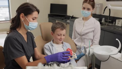 Little patient visiting dentist in clinic. Boy playing with teeth model at professional consultation