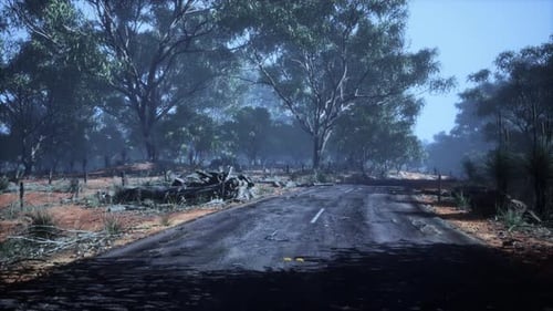 Carretera sinuosa que cruza la sabana