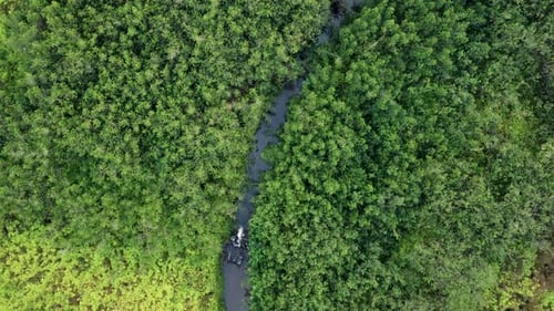 Luftaufnahme von oben nach unten, Fluss im tropischen Dschungel, grünen Regenwald. 4K. Epische Filmmusik Luftaufnahme der Natur