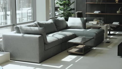 Modern Gray Couch in Bright Living Room