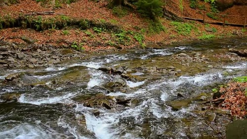 Mountain River Stream Ambience
