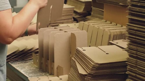 A Worker at a Cardboard Box Factory Assembles Packaging From Harvested Parts
