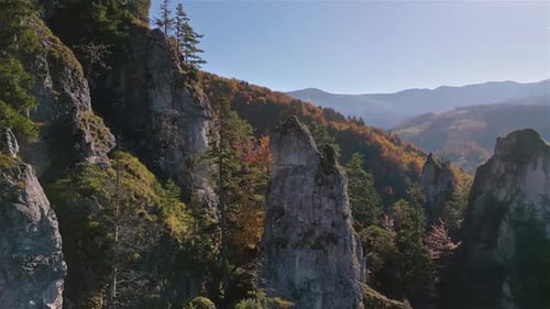 Colorful Autumn Forest in Rocky Mountains Nature Aerial View