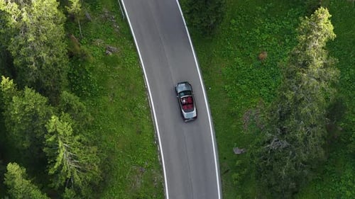 Scenic Drive Along Winding Road Through Lush Green Forest in Tranquil Countryside